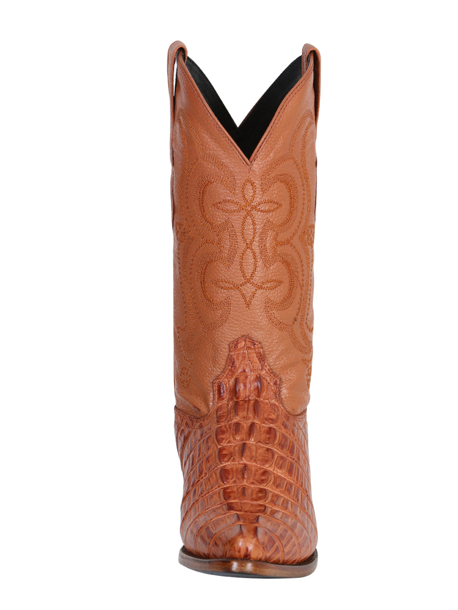 Bota cowboy El Señor de los Cielos - Caiman - Cognac 40841